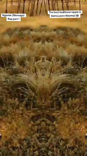 Ngowie ( Message) rap hook 1