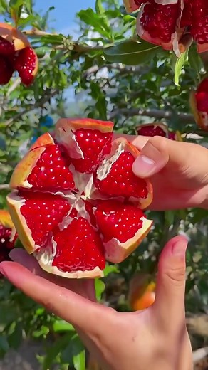 Omg😱😋🤤 #usa #asmr #fruit