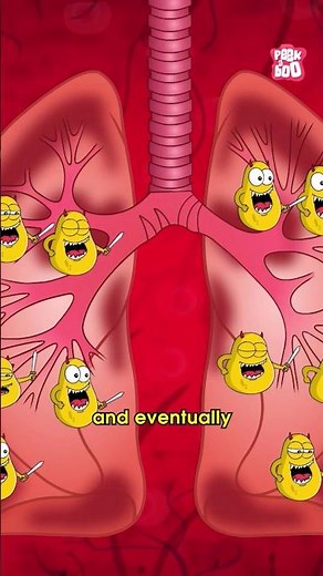 How TB Attacks the Body | World Tuberculosis Day 2024 #diseases #TB #drbinocsshow #peekabookidz