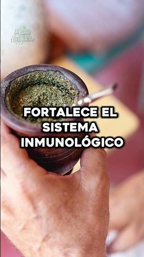 The Best Benefits of Yerba Mate
