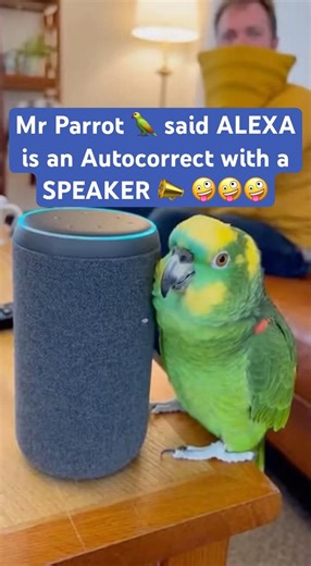 Mr Parrot 🦜 wants to set a TIMER🤪🤪🤪