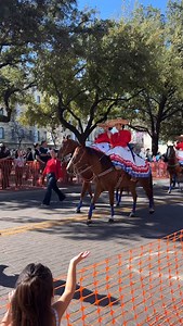 5.5K views · 375 reactions | Let’s Rodeo San Antonio! 鸞 The @sanantoniorodeo is officially here with the festivities kicking off tomorrow, February 6 at the @frostbankcenter fair grounds.  Here’s a quick list of rodeo event happing this week! So be sure to grab your boots, throw on your cowboy hat and enjoy food, shopping, live music and much more!  #sanantonio #thingstodoinsanantonio #western #cowboy #rodeo #rodeotime | MySA | Facebook