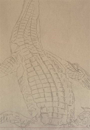 Starting too new ink alligator paintings this time a little smaller and a bit more zoomed in! #floridaartist #wildlifeart #photorealism #coastalliving #alligator