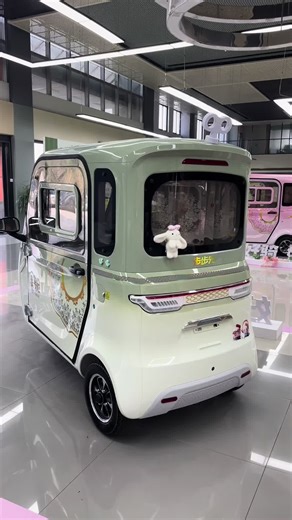 China's Leading Electric Vehicle Manufacturer