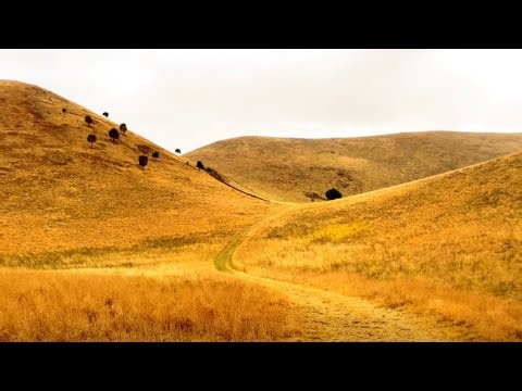 Mt Elephant Peak Climb, Derrinallum, Victoria, Australia