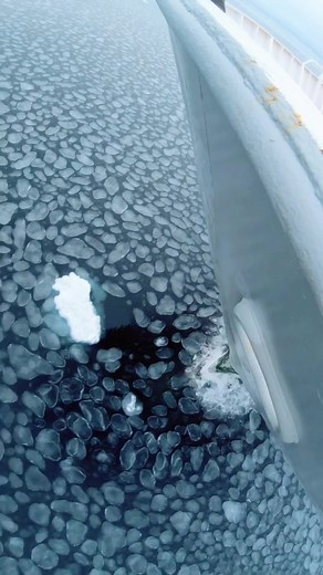 Arctic Ocean at the ice edge in October #iceberg #greenland #sailing #iceland #icelandic #science