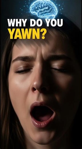 Why do you yawn when someone else yawns? 🤯