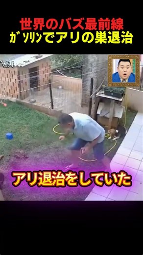 超危険なアリの巣退治