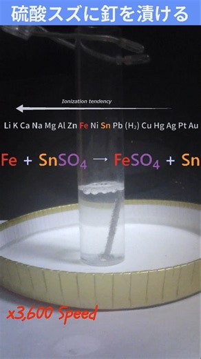 【化学】硫酸スズ水溶液に鉄釘 / Tin sulfate vs Iron nail #shorts #イオン化傾向 #硫酸スズ #鉄釘