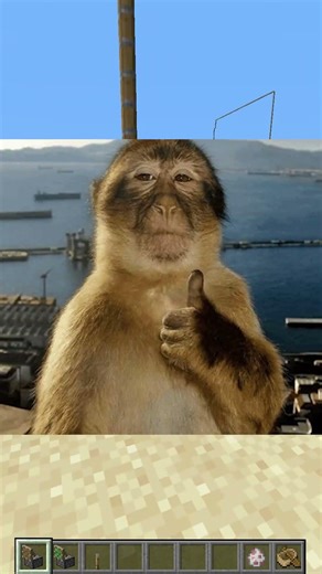 i finally made a piston push itself