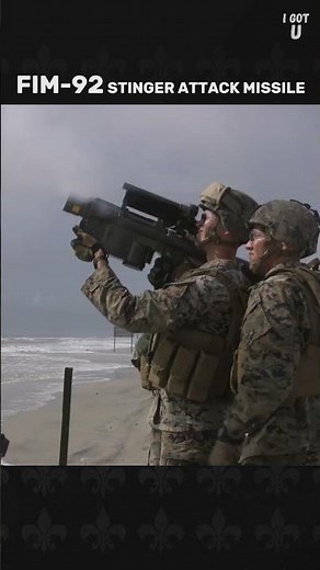 The BEST Weapon System For Hunting Drones