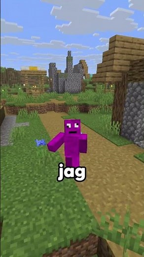 Det finns ett STORT problem med min Minecraft karaktär!