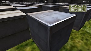 Bomberman in FPS Windows game