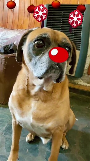 Roco no te pases de rayos sos el mejor Roco te amo