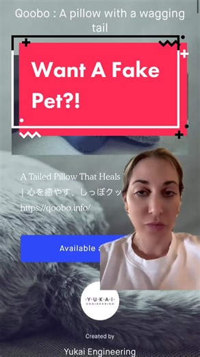 Introducing: QOOBO! The fake pet #conspiracytheory #conspiracytok #qoobo #petsoftiktok