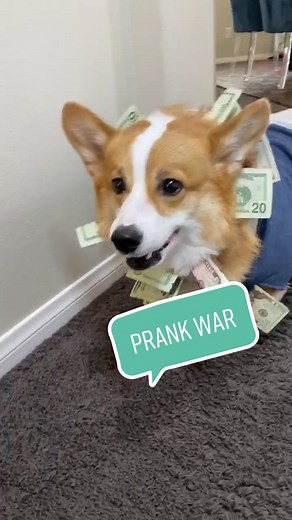 The prank wars continue #10SecondsVs #GonnaKnow #prank #vegastiktok #fyp