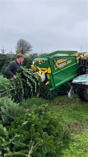 Baling & Wrapping Christmas Trees Fast! #christmastree #farmlife #agtech