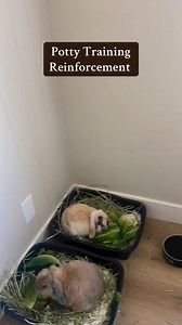 26K views · 250 reactions | I get asked ALL the time why I don’t have...