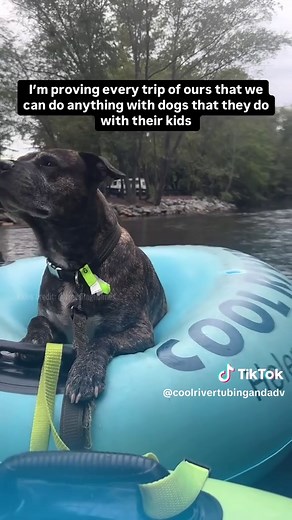 Pet-Friendly River Tubing Adventures in Helen, Georgia