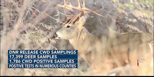 DNR releases results of CWD testing from last year