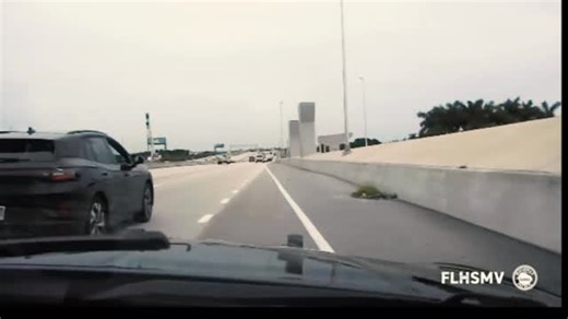 Florida Department of Highway Safety and Motor Vehicles (FLHSMV) on Instagram: "This is your reminder to not run from the Florida Highway Patrol."