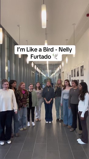 I’m Like a Bird cover - Nelly Furtado a cappella cover