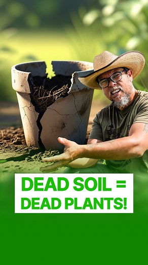 15 reactions | Want thriving indoor veggies?  Get endless compost without leaving your kitchen! ♻️ Here’s how to turn scraps into nutrient-rich soil your plants will love. #endlesscompost #indoorgardeningtips #compostathome #nutrientdensesoil #ghf #ghfood #soilhealthmatters #healthysoilhealthyplants #CompostTips #urbangardeninglife | Growing Healthy Food | Facebook