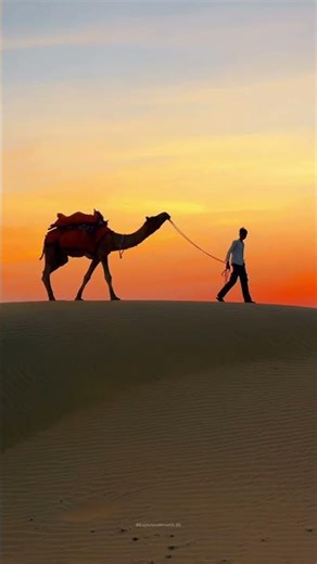 The Beauty of Rajasthan – Land of Royals, Culture & Desert Magic 🏜️👑