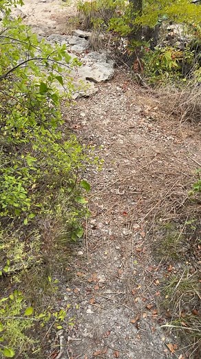 It’s a beautiful day at Lake Brownwood State Park! Take advantage of the gorgeous weather for a hike with us! | Lake Brownwood State Park - Texas Parks and Wildlife