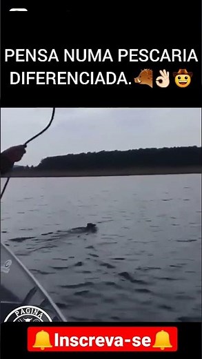 Pescaria diferenciada kkkk