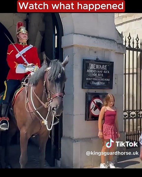 Unexpected Exit: A Royal Guard's Surprising Encounter