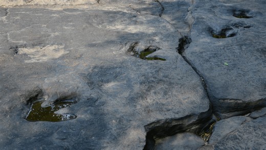 How Do Dinosaur Footprints Fossilize?