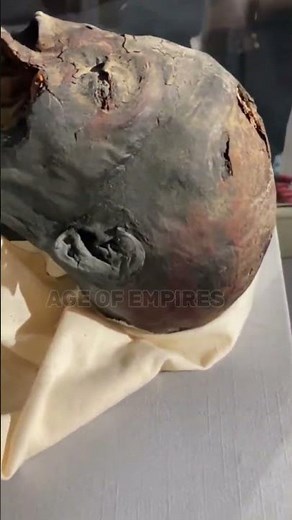 Mysterious Mummy Unearthed! Secrets of an Ancient Tomb Revealed 🏺
