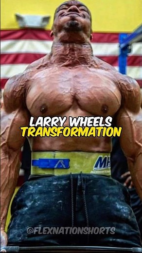 Larry Wheels From Powerlifting And Strongman To Bodybuilding