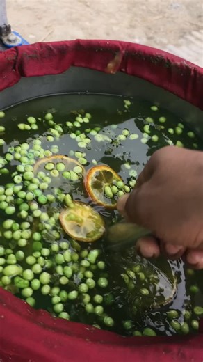 😇 ROHIT KUMAR 😇 on Instagram: "5 min me unlimited panipuri 😍😀 . . . . #trendingreels #indianfood #panipurilovers #panipuri #indian"