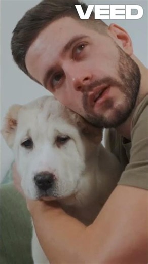Can Dogs Really Understand Your Emotions?