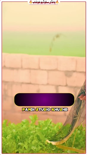 Degar Wella Oddy Kabotr | Mussarat Shaheen #foryou #viralvideo #song #pandistudio #khushb