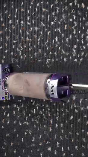 Next up at #VacuumWars - The Shark POWERDETECT upright vacuum obviously does not disappoint! See you tomorrow at 4PM EST for the full review! | Vacuum Wars