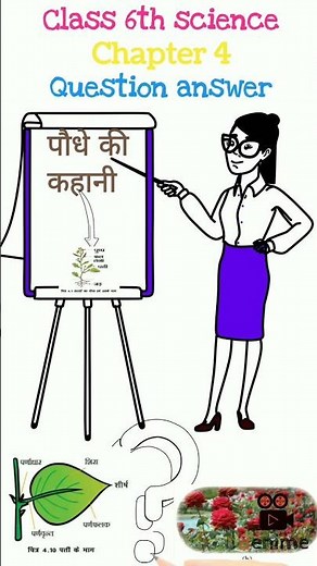Jcert class 6 science chapter 4 question answer | class 6 पौधे की कहानी अभ्यास के प्रश्न-उत्तर |