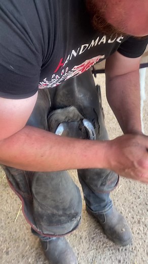 Satisfying hoof trim #farrier #horses #equinevet