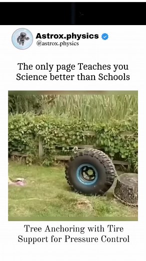 Astrox/Sachin on Instagram: "Read caption for more details 👇 👇 Tree anchoring with tire support for pressure control involves using tires as a stabilizing element to secure trees in place. This method helps manage the pressure exerted on trees, whether from environmental factors like wind or soil conditions. The tire acts as a buffer, distributing pressure evenly and preventing damage to the tree or its roots. This technique is often used in landscaping or agricultural settings to ensure young