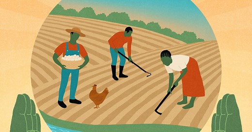 Feeding the Future: Food Sustainability and Climate Change | Radcliffe Institute for Advanced Study at Harvard University