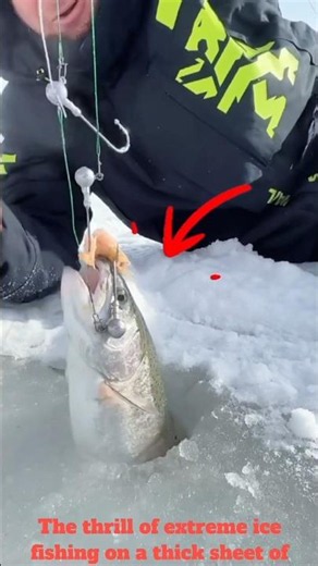 The Ultimate Ice Fishing Experience!