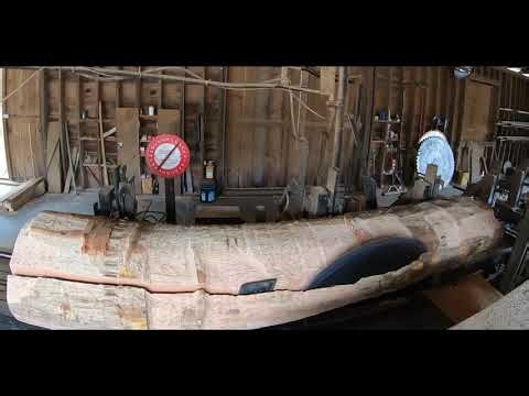 Sawing a 30” black oak into 4/4 lumber