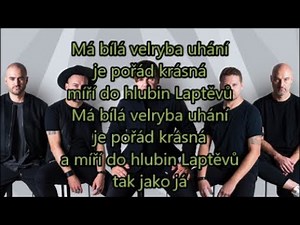 Michal Hrůza - Bílá velryba (Text)