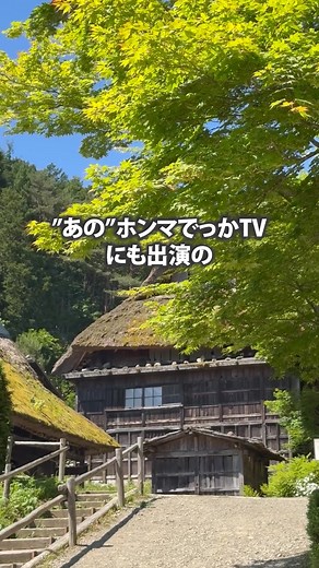 9割が知らない疲労対策が衝撃！悪肝臓が… | スルフォラファン&ギャバの恵み