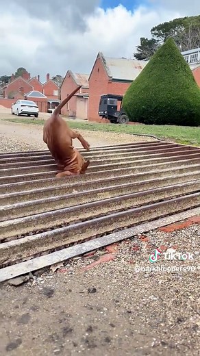 Hilarious Dog Fail Moments Captured on Video