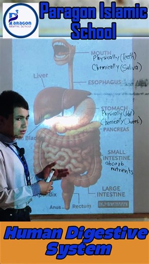 1.3K views · 33 reactions | Going deep into science!  A student...