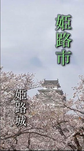 【世界遺産🏯姫路城】約千本の桜が咲き誇る絶景の地🌸【ひょうごフィールドパビリオン】