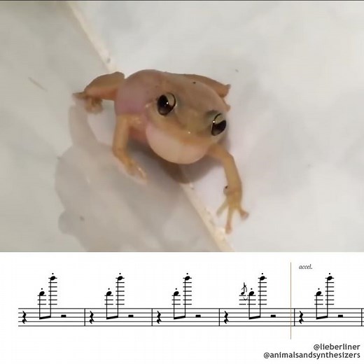 Coqui Karaoke
